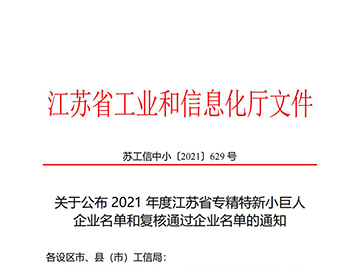 江苏省专精特新”小巨人“企业
